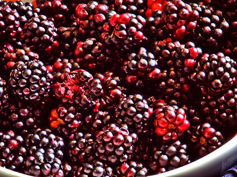 Bramen van Edgar Schermaul