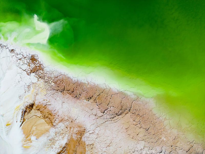Bright green, brown, white by Anna Martin