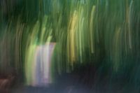 The woods, lightpainting in greens