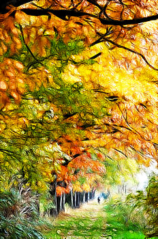 Bäume im Herbst