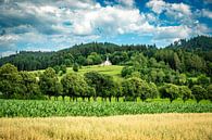 Giersberg in Kirchzarten van Andreas Nägeli thumbnail