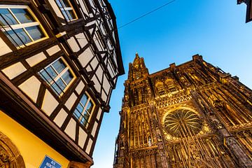 De Kathedraal van Straatsburg, op een vroege ochtend van Martijn