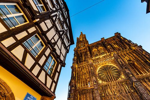 Das Straßburger Münster, früh am Morgen