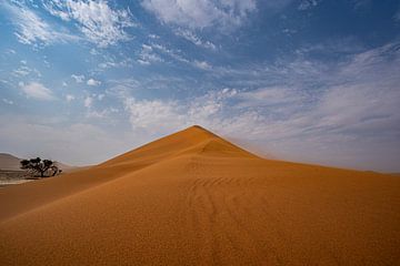 Duin in Sossusvlei in Namibië, Afrika van Patrick Groß