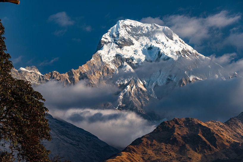 annapurna view by Alex Neumayer
