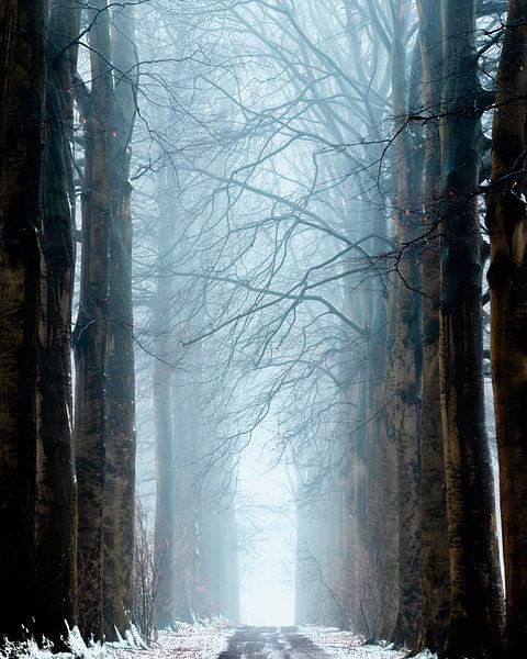 The last leaves by Ernst