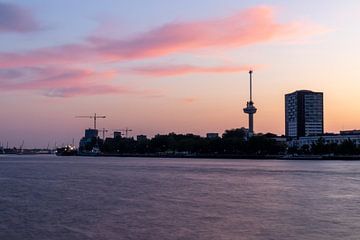 Euromast en haven Rotterdam van Bram Lubbers