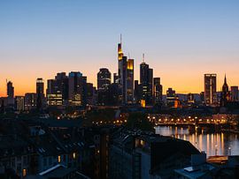 Frankfurt am Main met brug en skyline