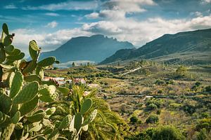 La nature à l'état pur dans les montagnes