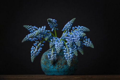 Stilleben mit blauen Weintrauben