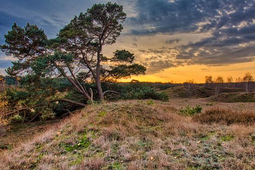 Kleurrijke zonsondergang bij het Wekeromse Zand van Rick van de Kraats