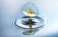 Waterdruppel splash in drie kleuren