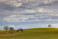 Landscape idyll near Steingaden by Andreas Müller thumbnail