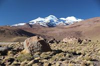 L'Altiplano bolivien avec vue sur les sommets des Andes