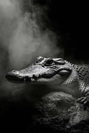 Crocodile by Poster Art Shop