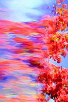 Blown From Sun