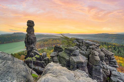 Barbarine in der Sächsischen Schweiz