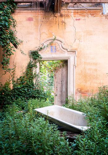 Baignoire abandonnée entre les plantes.