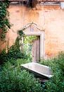 Verlassene Badewanne zwischen Pflanzen. von Roman Robroek – Fotos verlassener Gebäude Miniaturansicht