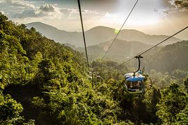 Genting Highlands primeval forest