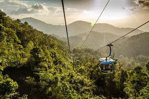 Urwald Genting Highlands