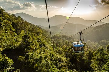 Urwald Genting Highlands von Dieter Walther