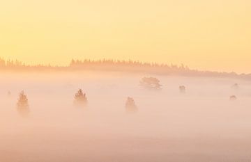 Mistige zonsopkomst Duurswouderheide (Nederland) van Marcel Kerdijk