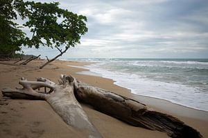 Karibikküste - Costa Rica