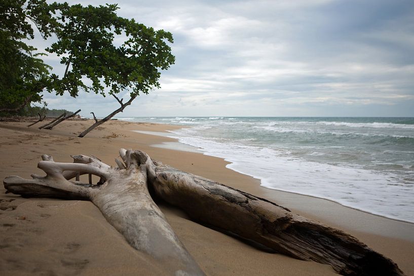 Caribbean coast - Costa Rica by t.ART