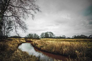 Vredig landschap met rivier de Reest tijdens winterdag van Wildlife Designs