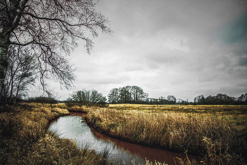 Friedliche Landschaft mit dem Fluss Reest an einem Wintertag von Wildlife Designs