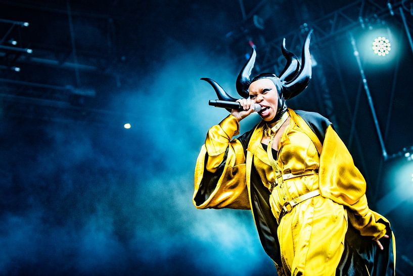Skunk Anansie - Stadspark Live Groningen von Niels Knelis Meijer