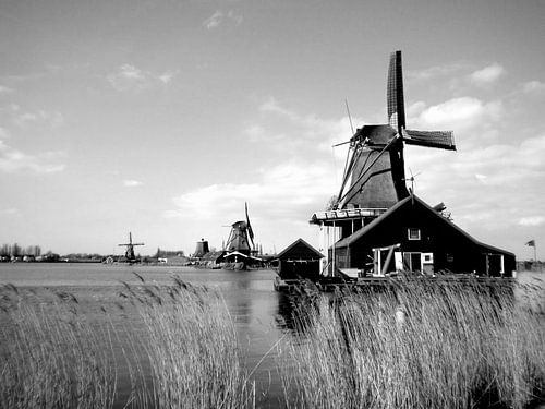Zaanse Schans von Ray63
