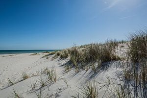 Ostseestrand und Dünen in Prerow