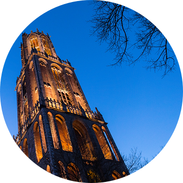 De Dom van onder af gefotografeerd tijdens het blauwe uur