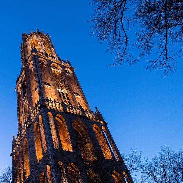 De Dom van onder af gefotografeerd tijdens het blauwe uur van André Blom Fotografie Utrecht