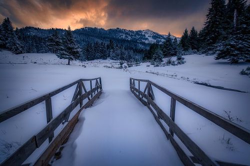 Die Leidenschaft des Winters