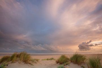 ochtend licht