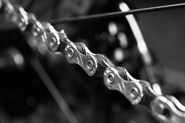 De Ketting: De ritmische spieren van de fiets van Torrentius