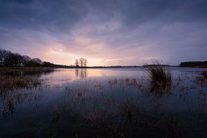 Bedrohliche Wolken über dem Wasser, während die Bäume in der Sonne leuchten