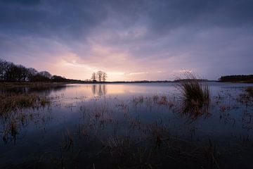 Bedrohliche Wolken über dem Wasser, während die Bäume in der Sonne leuchten von KB Design & Photography (Karen Brouwer)