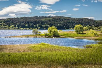 Reservoir Carron Valley bij Denny van Christian Müringer