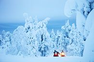 Schneemobile im Lappland, Finnland von Menno Boermans Miniaturansicht