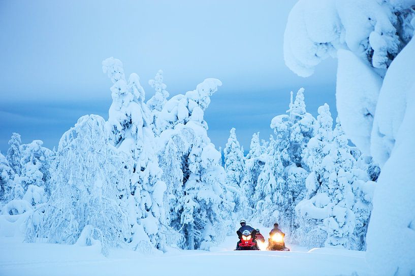 Schneemobile im Lappland, Finnland von Menno Boermans