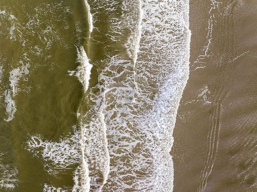 Branding in Perspective: primal forces topdown