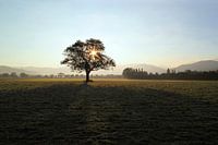 herfstochtend