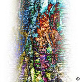 Fusions végétales V sur Stéphane TEILLET