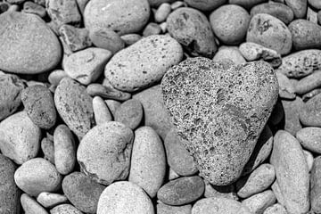 Heart of stone by Thomas Herzog