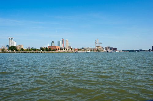 SS Rotterdam kade Maashaven
