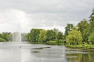 Een grijze vroege zomerdag in het park van Munster van Gisela Scheffbuch thumbnail